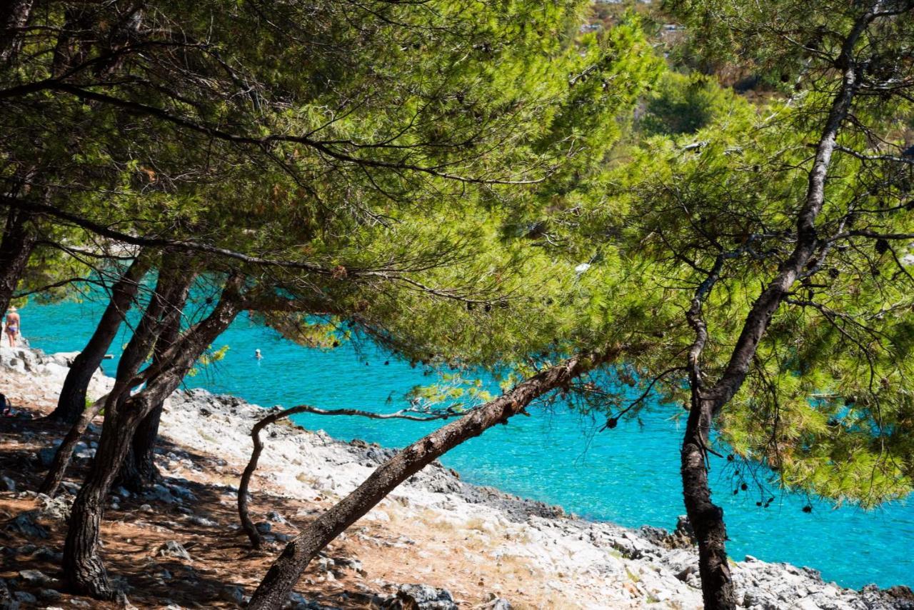 Holiday home Salum Trogir