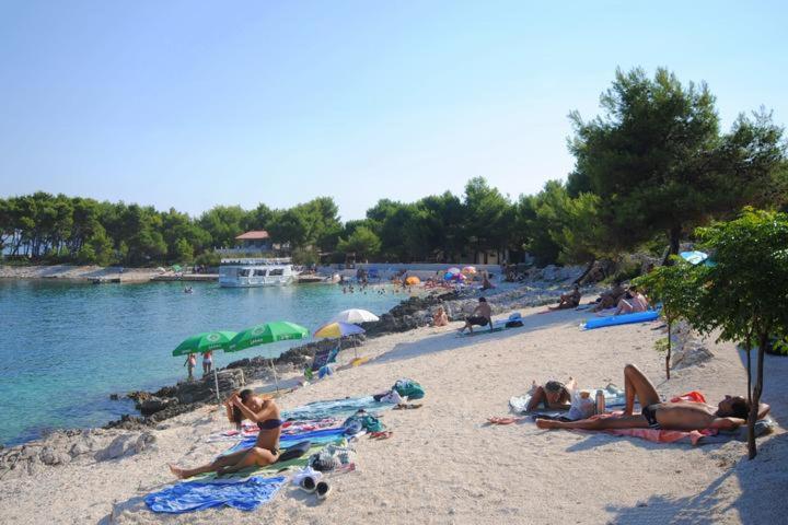 Salum * Trogir